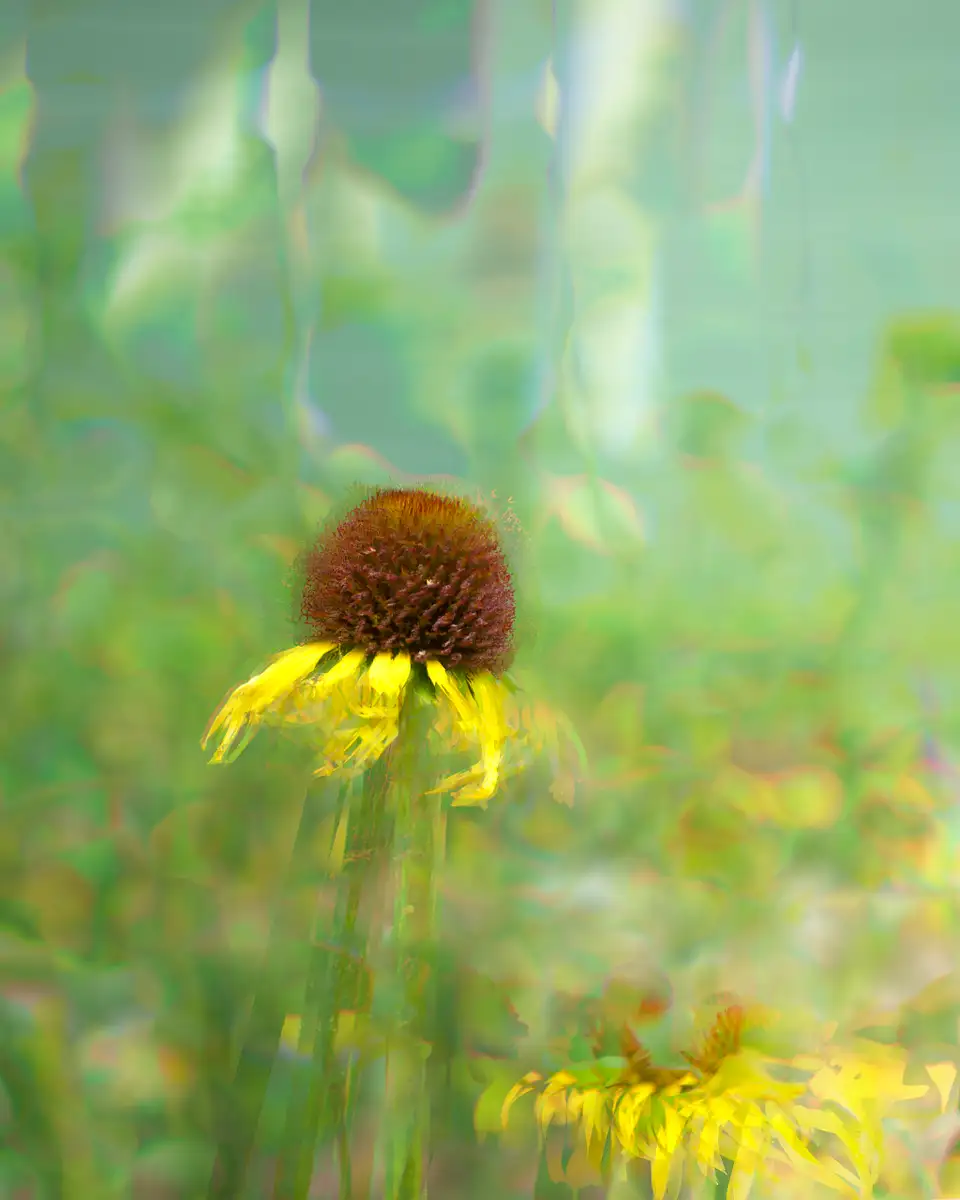 Konrad Michels Photography