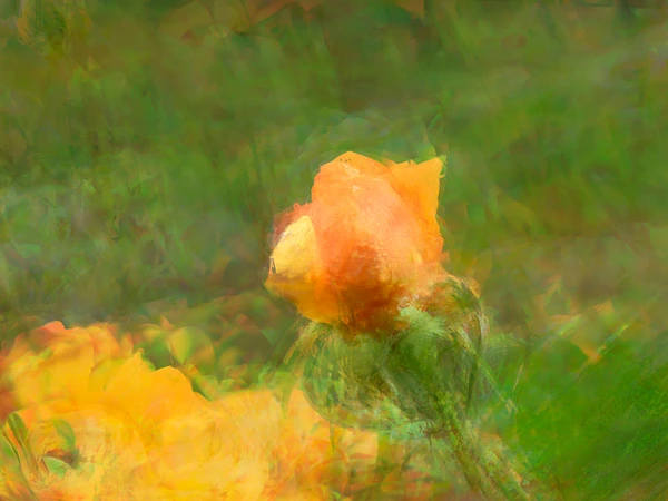 Konrad Michels Photography