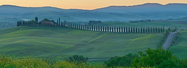 A picturesque countryside scene featuring rolling hills lined with cypress trees at dawn.