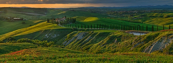 Konrad Michels Photography