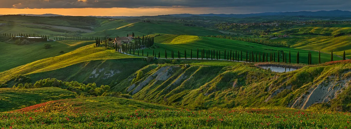 Konrad Michels Photography