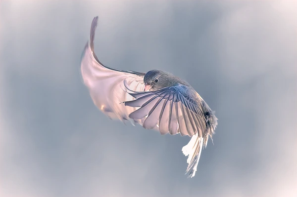Konrad Michels Photography