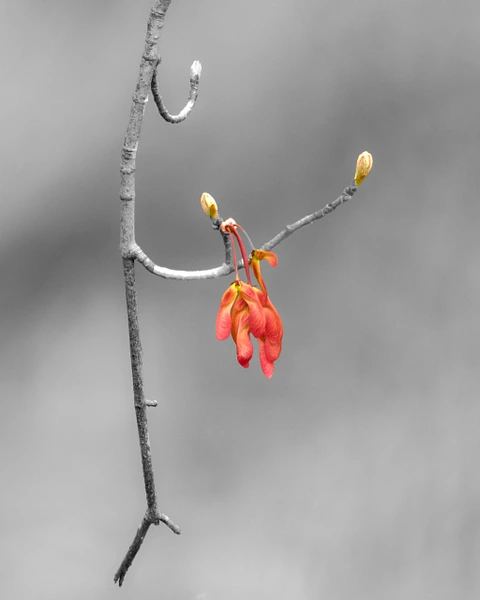 Konrad Michels Photography
