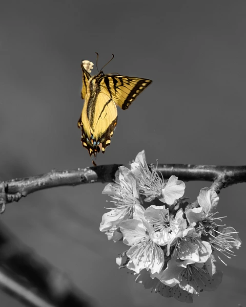 Konrad Michels Photography