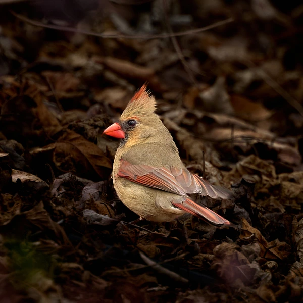 Konrad Michels Photography