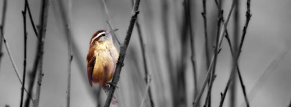Konrad Michels Photography