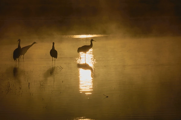 Konrad Michels Photography
