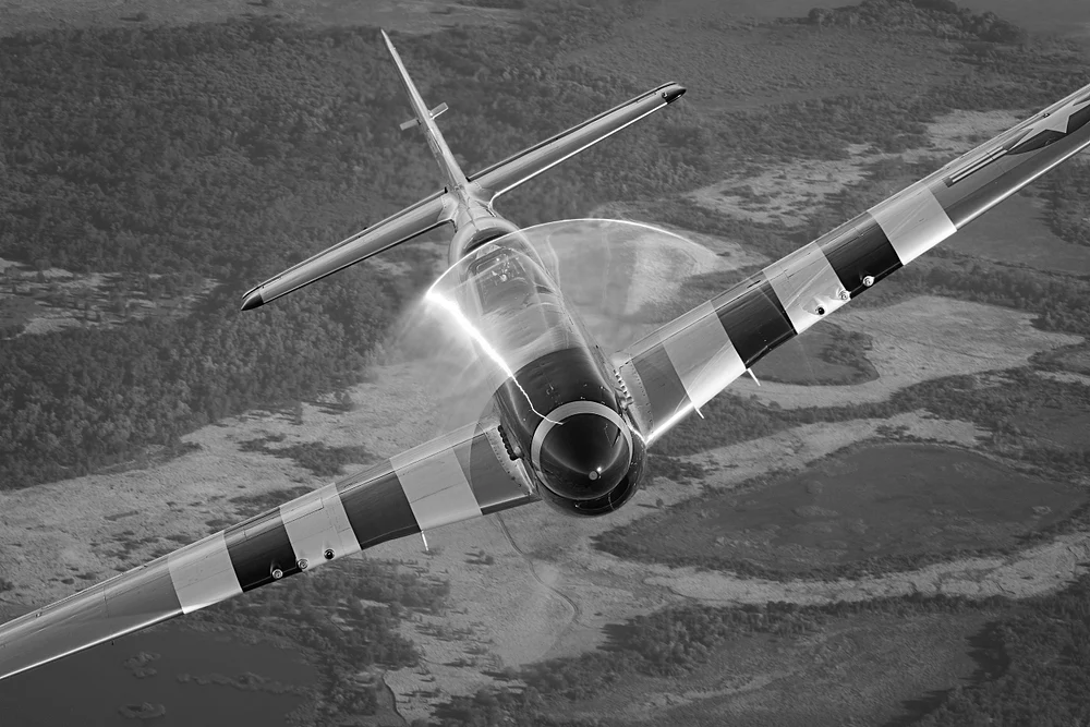 P-51 Mustang - Quick Silver