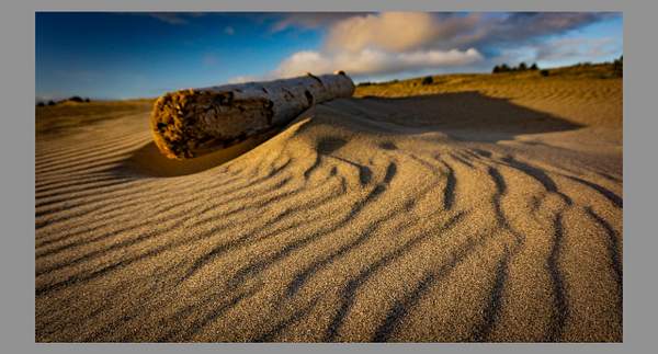 We just are sand in the wind by Gino De  Grandis