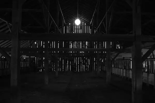 Inside the Barn by Tom Watson
