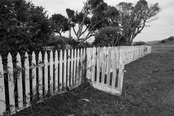 Fence #3 by Tom Watson