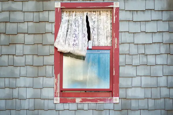 'Window Curtain' by Tom Watson