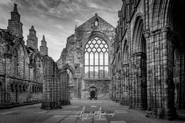 Angela Andrieux Photography