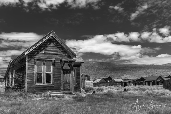 Angela Andrieux Photography