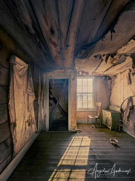 Angela Andrieux Photography