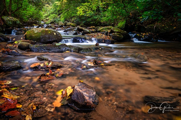 Don Gardner Photography