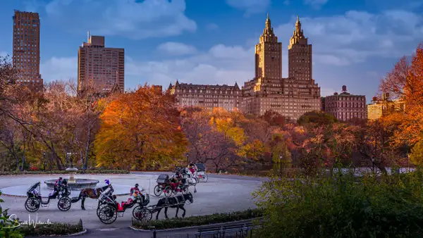Central Park (Autumn) by ScottWatanabeImages