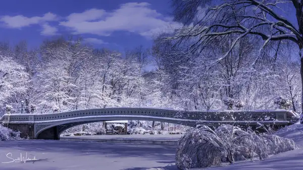 Bow Bridge (Winter) by ScottWatanabeImages