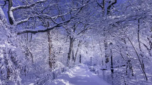 Path (Winter) by ScottWatanabeImages