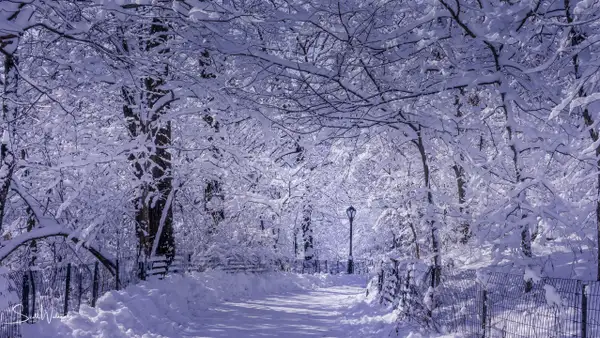 Curve Path (Winter) by ScottWatanabeImages
