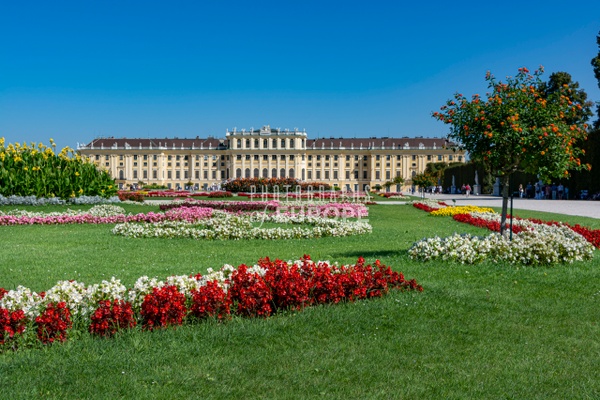 Colourful-flowers-in-garden-Schönbrunn-Palace-Vienna-Austria - Photographs of Granada, Spain 