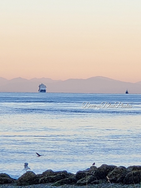 Coastal Morning Reflections - Ocean Vistas - Chinelo Mora