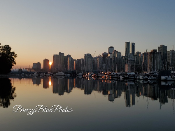 Quiet Morning Reflections - City Vistas - Chinelo Mora 