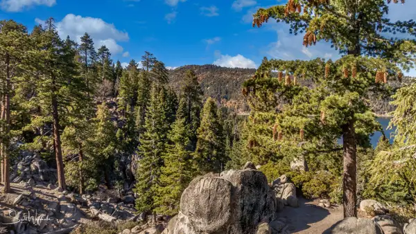 Castle Rock Trail 1 by ScottWatanabeImages