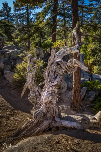 Castle Rock Trail 2 by ScottWatanabeImages