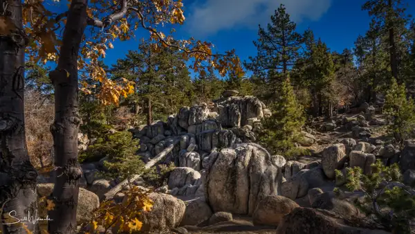 Castle Rock Trail 5 by ScottWatanabeImages