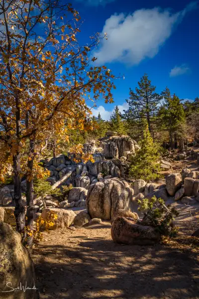 Castle Rock Trail 6 by ScottWatanabeImages