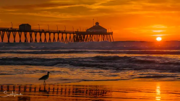 Imperial Beach Pier (Sunset) 2 by ScottWatanabeImages