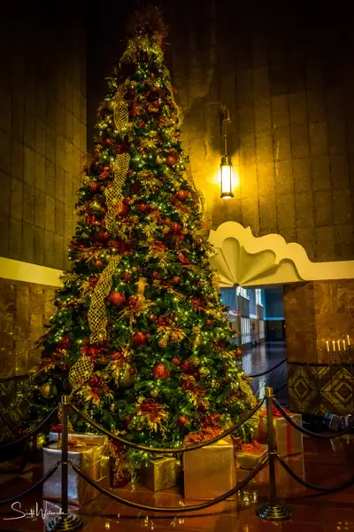 Christmas Tree 1 by ScottWatanabeImages