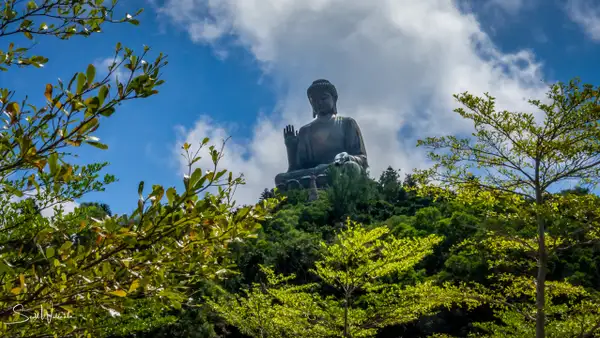 Tian Tan Buddha 5 by ScottWatanabeImages