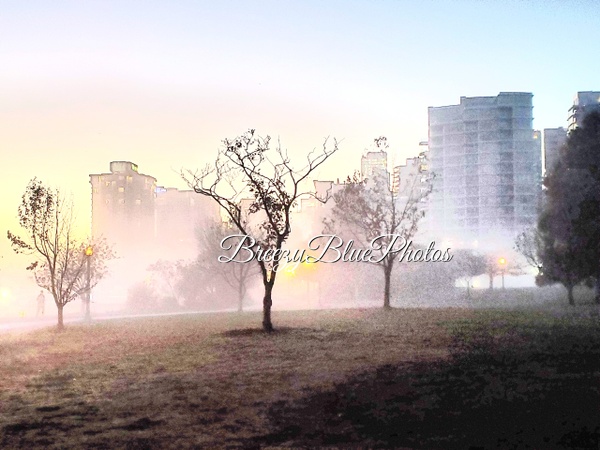 Misty Blue Morning - Landscape - Chinelo Mora