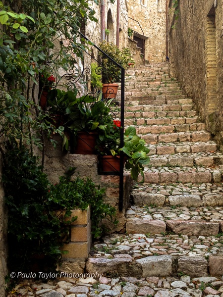 Italian Stairs - Function and Beauty - Paula Taylor Photography 