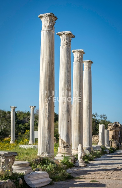 Salamis-North-Cyprus-5 - Photographs of Europe