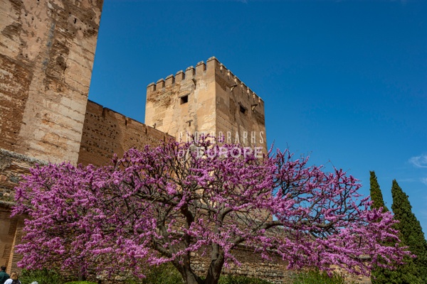 Towers-Torre-del-Adarguero-Alhambra-Granada-Spain - Photographs of Europe