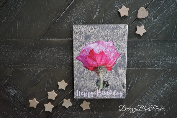 Funky Rose Birthday Card - Chinelo Mora
