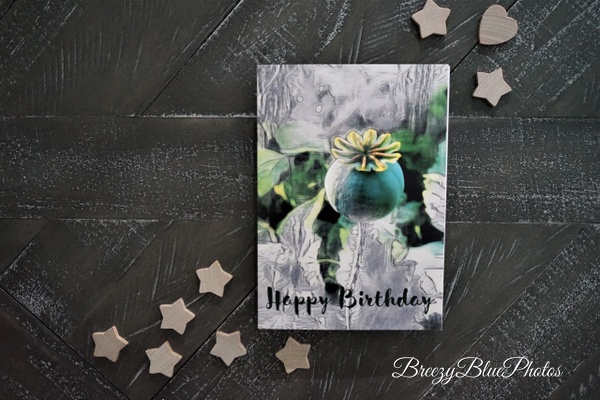 Poppy Seed Birthday Card - Birthday Cards - Chinelo Mora