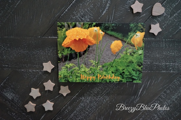 Butter Cup Birthday Card - Birthday Cards - Chinelo Mora