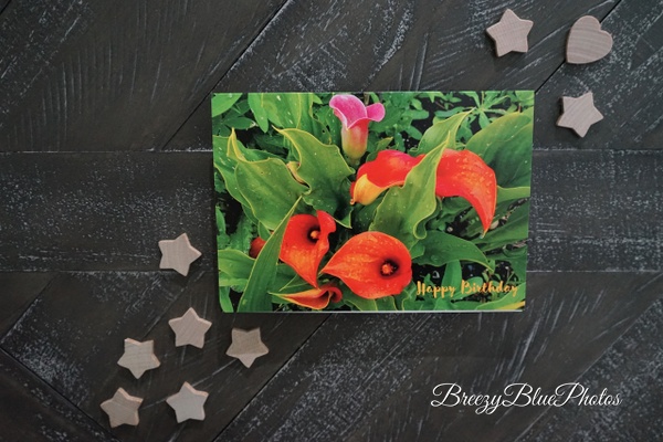 Bold Lily Birthday Card - Birthday Cards - Chinelo Mora