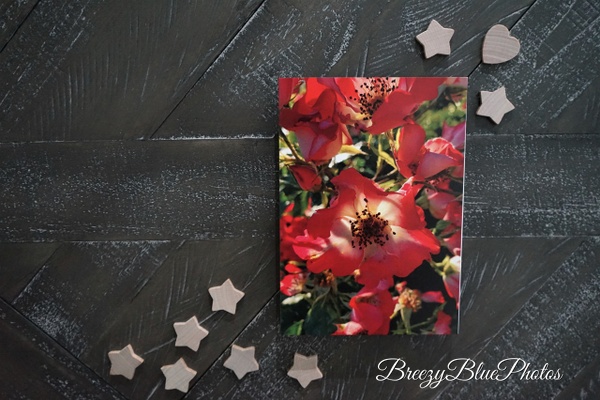 Bright Red Flower Greeting Card - Chinelo Mora 