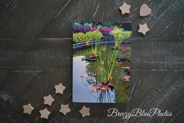 Water Garden Greeting Card - Chinelo Mora