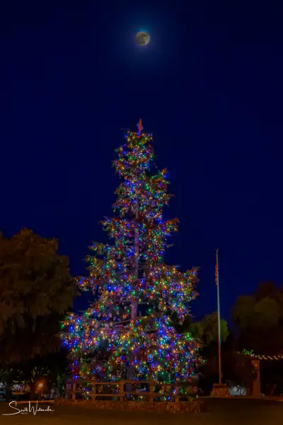 Christmas Tree Moon by ScottWatanabeImages