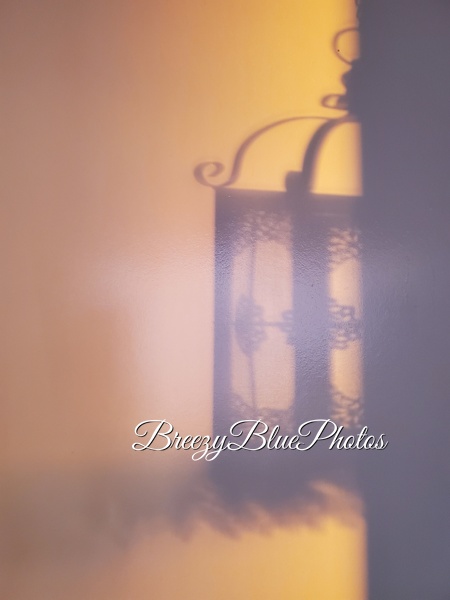Breezy Blue Shadows - Still Life - Chinelo Mora 