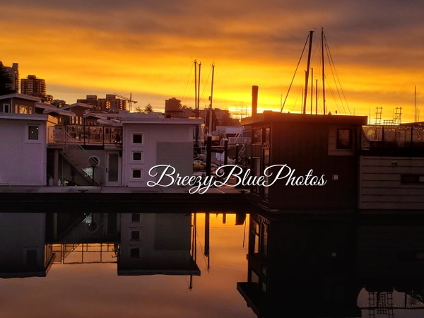 Breezy Blue Boat Houses - City Vistas - Chinelo Mora