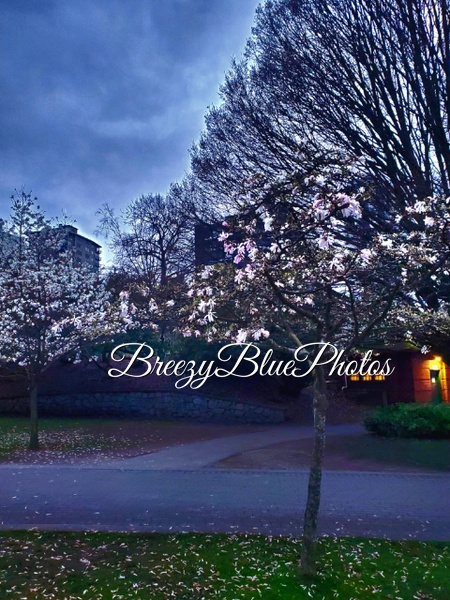 Breezy Blue Morning - City Vistas - Chinelo Mora 