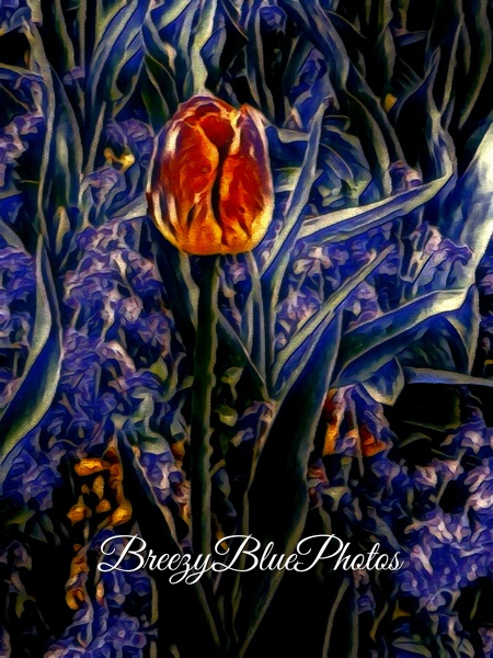 Breezy Blue Flowers - Chinelo Mora
