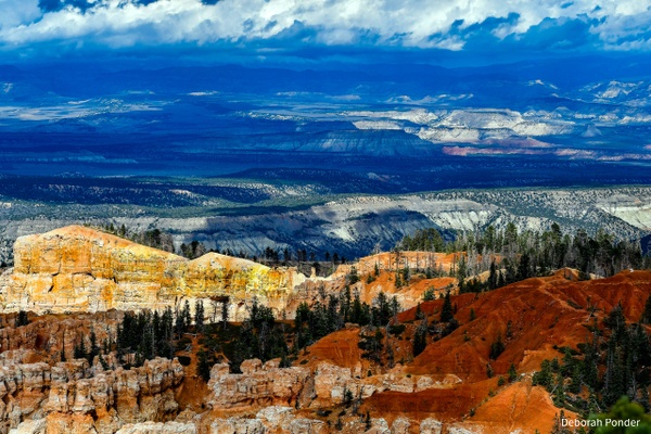 Grand Staircase from Bryce Canyon - Deborah Ponder Photography